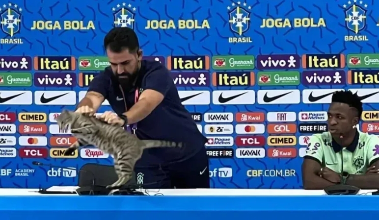 Corinthians contrata assessor que arremessou gato em coletiva da Seleção