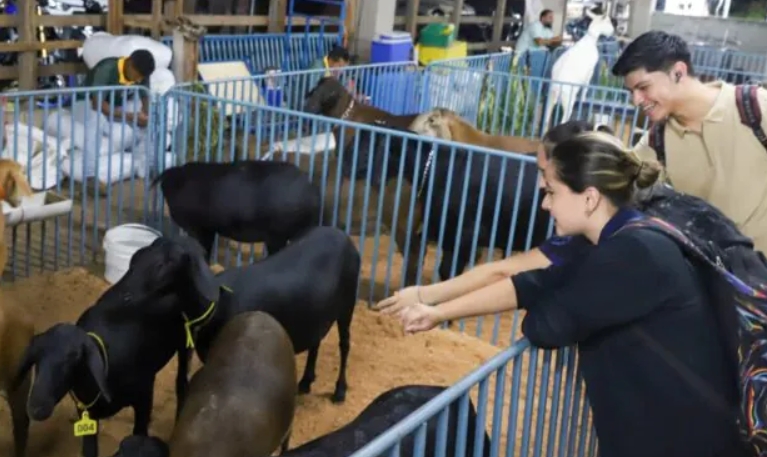 Expoagro segue até dia 5 com negócios, cultura e entretenimento em Manaus