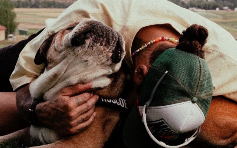 Morre Roscoe, cachorro do piloto Lewis Hamilton