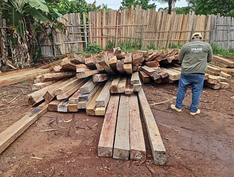 Dez empresas são multadas em R$ 7,3 milhões durante operação no Amazonas