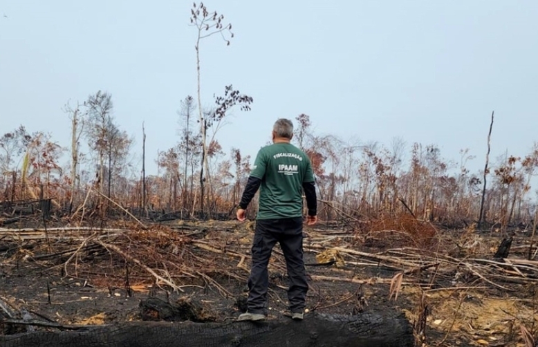 Amazonas concentra maior parte do desmatamento da Amazônia em 2024