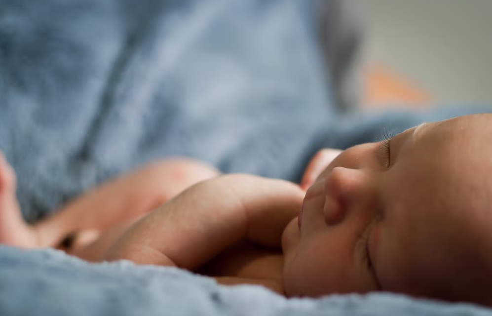 Brasil tem 404 mil Enzos, aponta IBGE