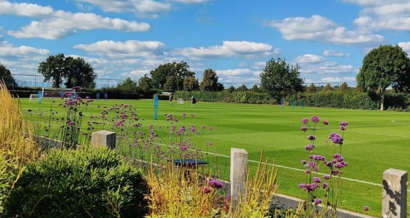 Clube da Premier League inaugura casas de morcego e hotéis de insetos em CT