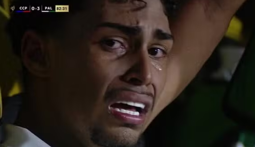 Ministério do Esporte pede investigação sobre racismo contra palmeirenses