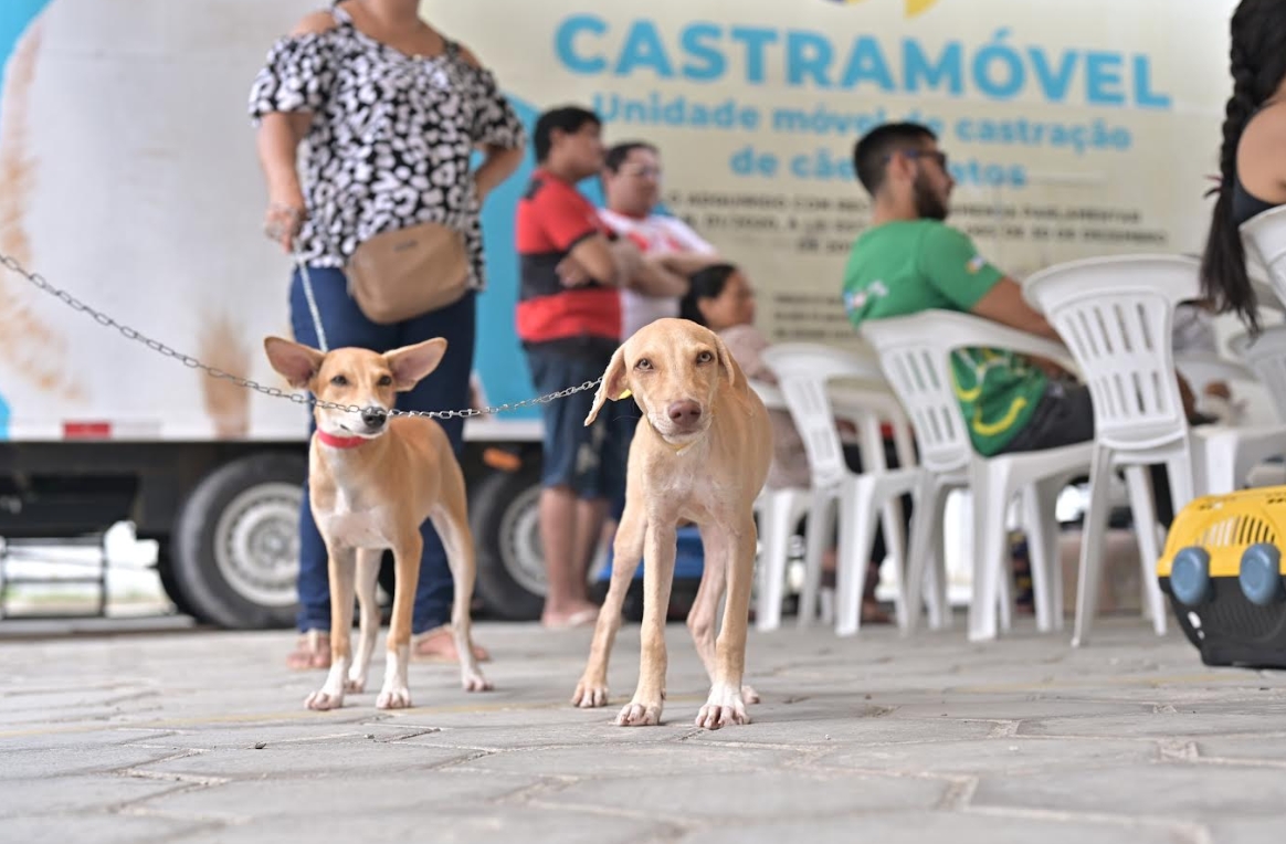 Carauari recebe Castramóvel pela 1ª vez com castração e vacinação gratuitas