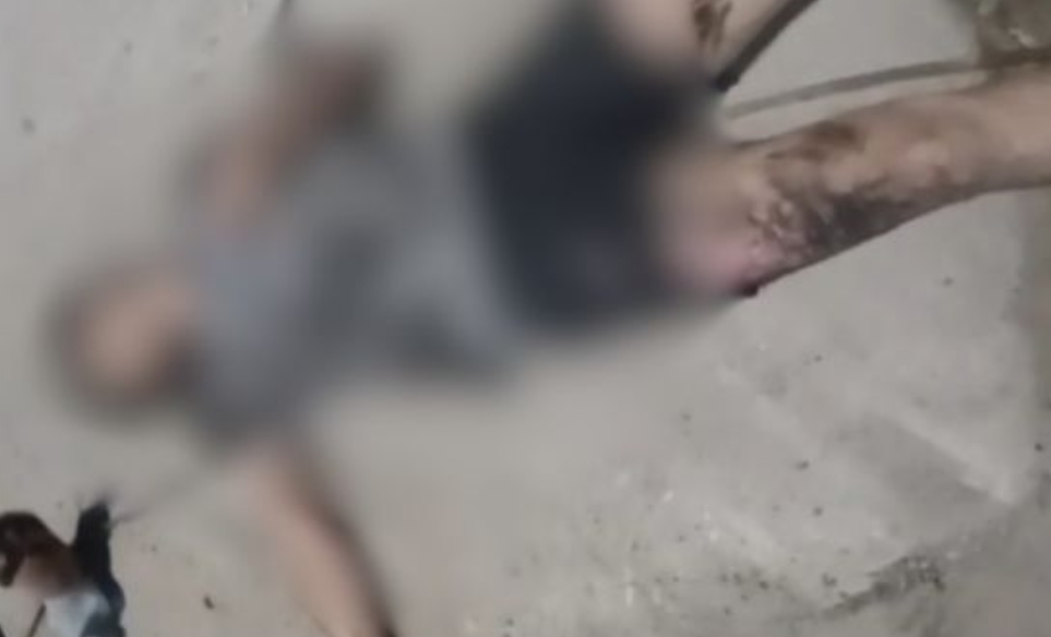 Motociclista morre e passageira fica ferida após acidente no Novo Aleixo