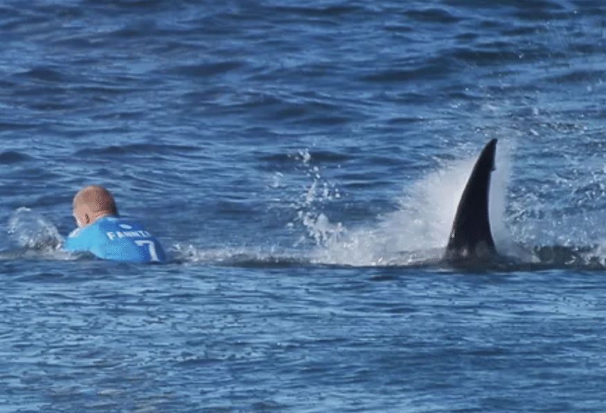 Ataque de tubarão há 10 anos ajudou lenda do surfe a mudar e ganhar milhões