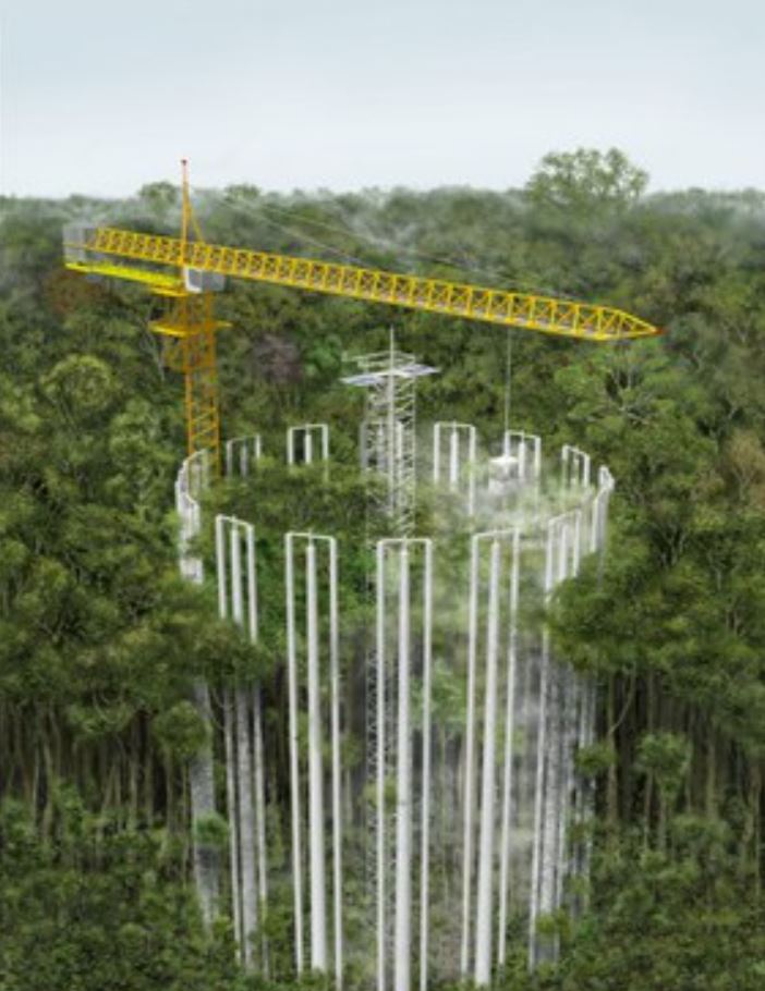 Inpa  revela que Inglaterra dará apoio financeiro à pesquisas na Amazônia 