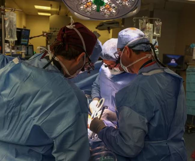 Morre primeiro homem a receber rim de porco em transplante  