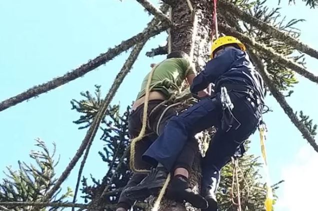 Homem sai para colher frutas e fica pendurado em árvore por 2 horas