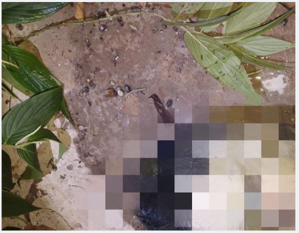 Cabeça humana é encontrada ao lado de bueiro em Manaus