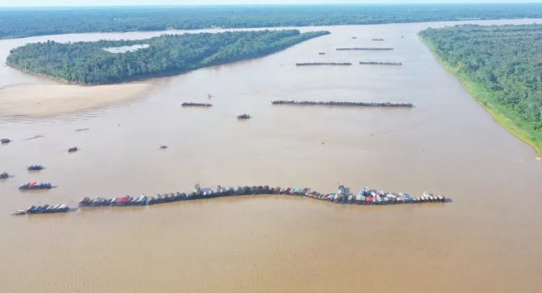 Mercúrio usado no garimpo contamina peixes e compromete a saúde humana