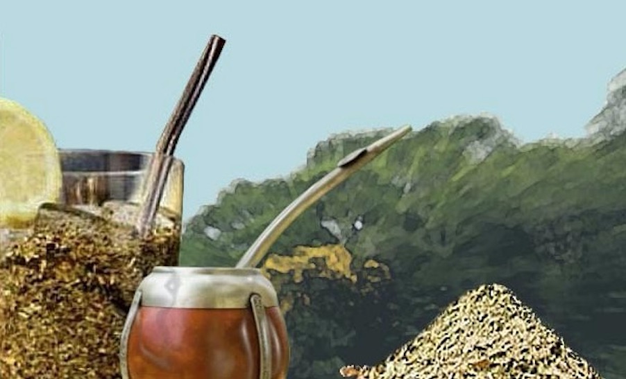 Você conhece o tereré? Bebida tem propriedades anti-inflamatórias naturais