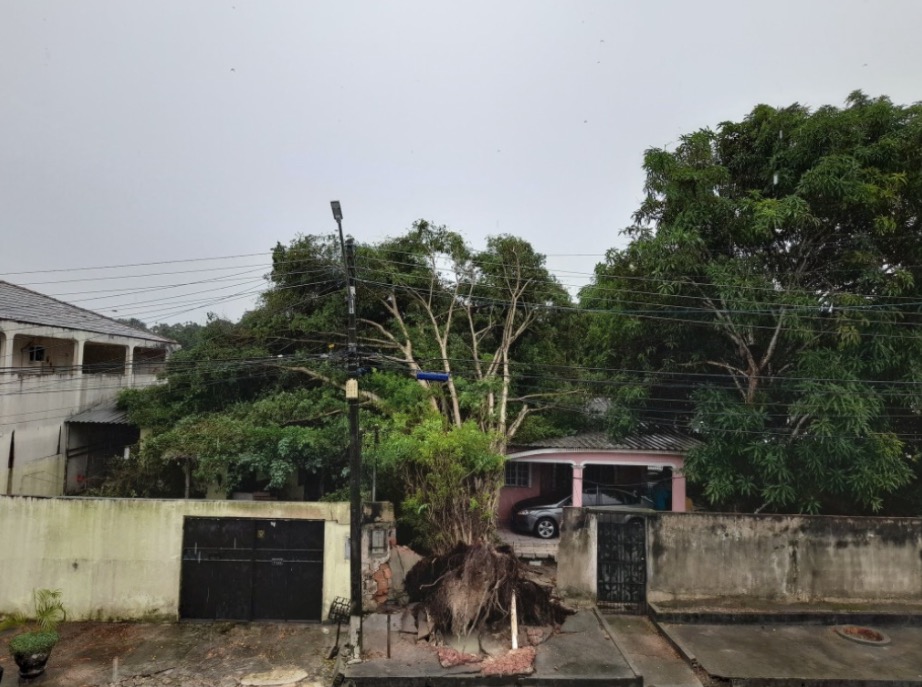 Temporal causa destruição e Defesa Civil registra 10 ocorrências em Manaus