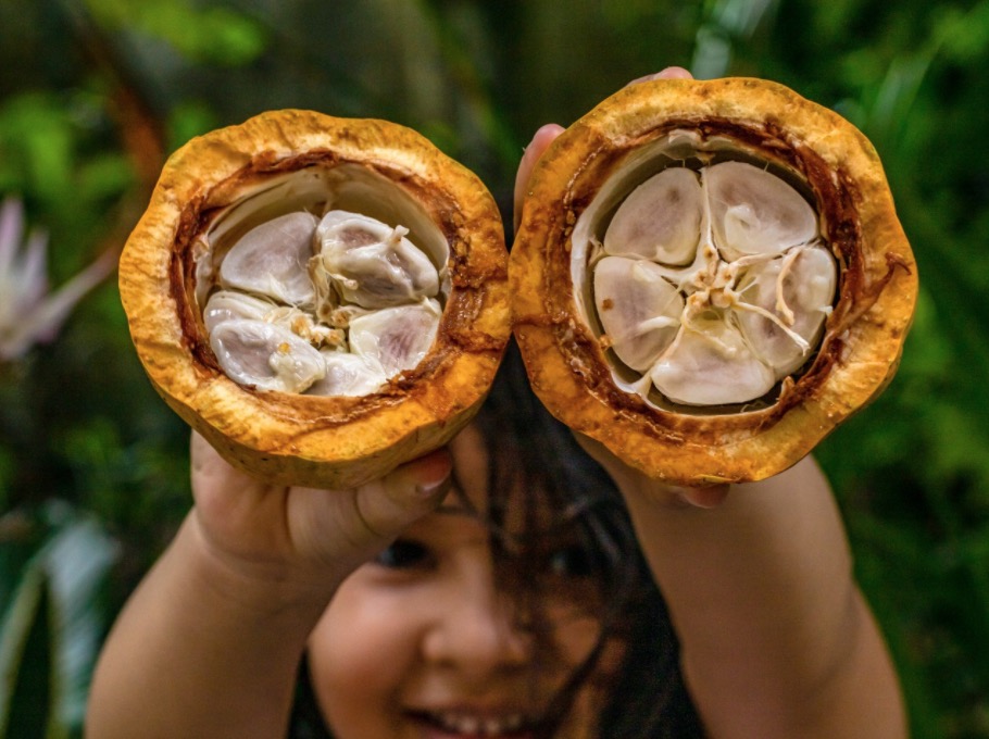 Exposição virtual celebra Dia Nacional do Fotógrafo neste sábado