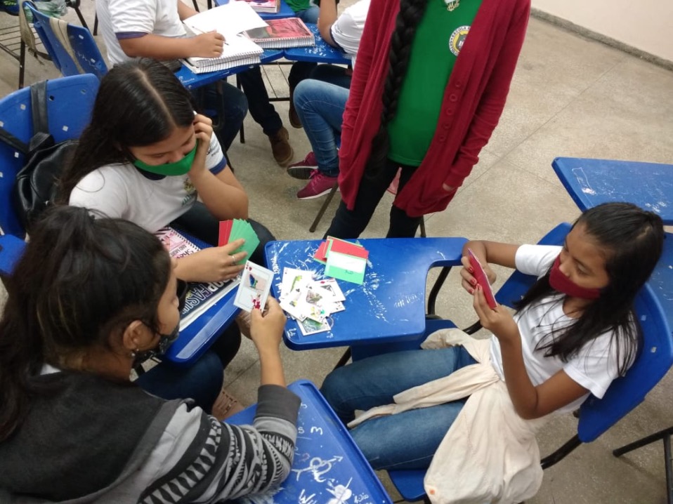 Estudantes desenvolvem jogo de cartas inspirados em aves da Amazônia