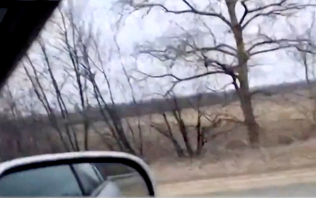 Veja momento em que jornalistas são atacados a tiros em Donetsk, na Ucrânia