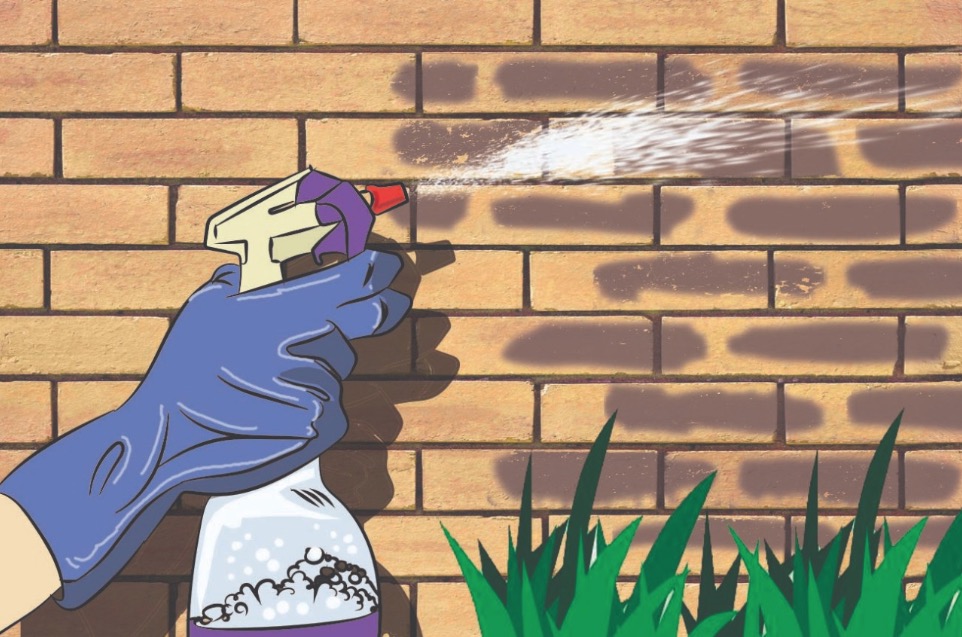 Receita caseira barata e fácil para remover mofo da parede; confira