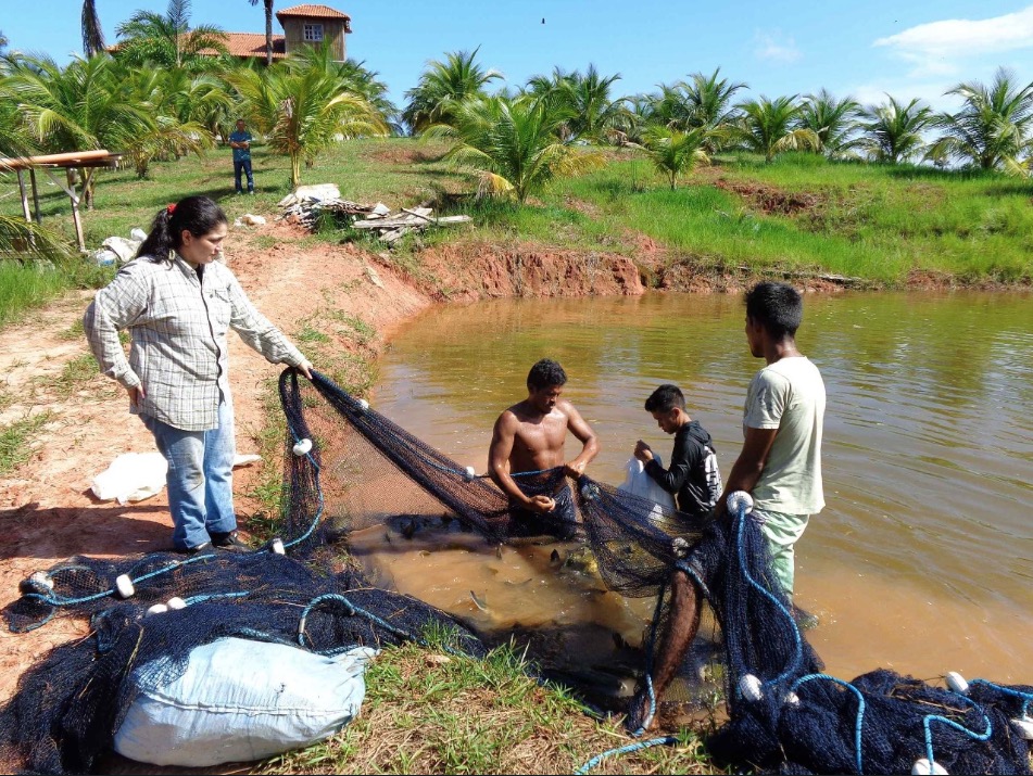 Projeto desenvolve autenticação genética de pescados no Amazonas