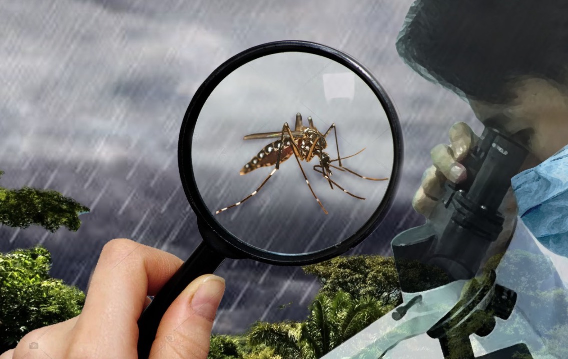 Infectologista faz alerta para o aumento de casos de dengue durante inverno