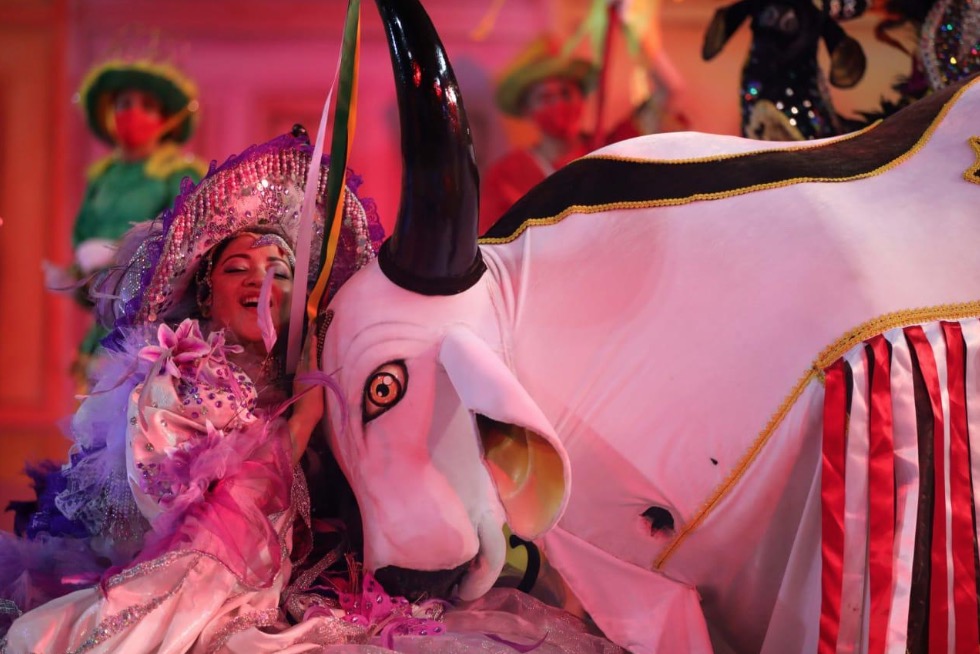 Programação especial celebra 80 anos do Boi Bumbá 'Corre Campo'; confira