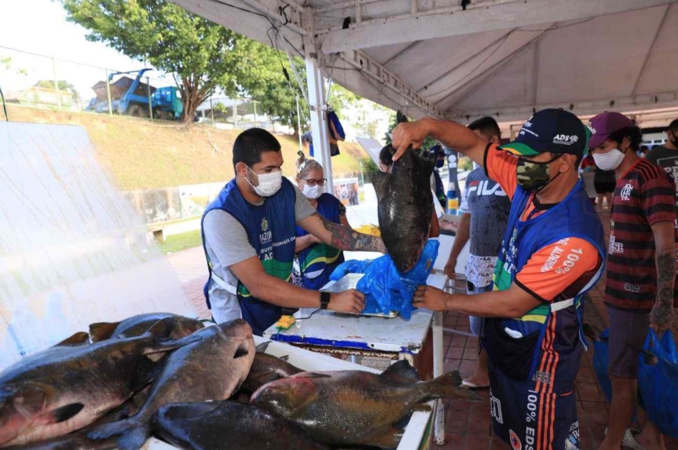 Feirão do pescado tem peixes a partir de R$ 8 em Manaus; saiba os locais