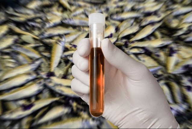 Autoridades investigam uma morte e outros 3 casos de urina preta no Pará