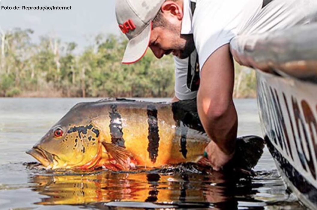 Temporada 2022/2023 da pesca esportiva vem com tudo
