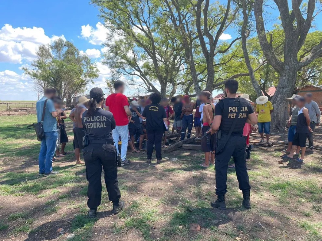 56 pessoas são resgatadas em situação de escravidão em plantação de arroz