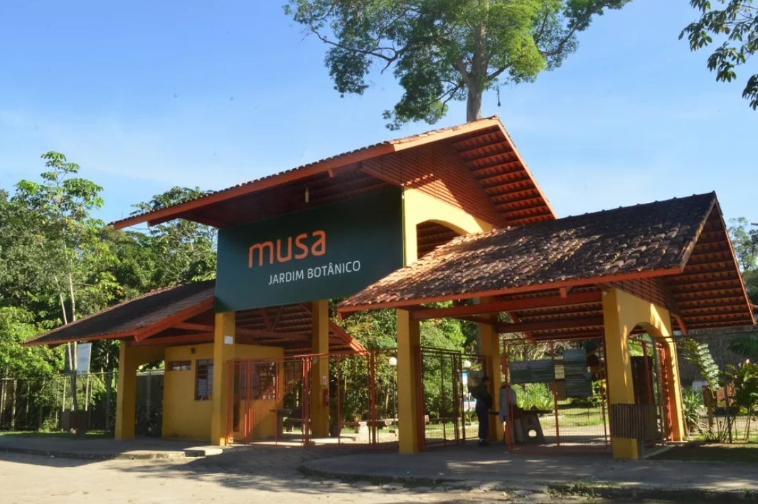 Musa lança visita turística com valor promocional; confira