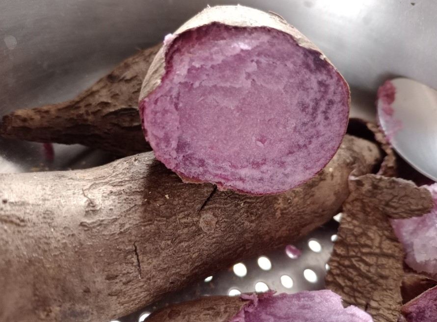 Cará roxo regula o intestino e previne anemia; conheça mais benefícios