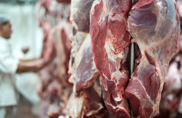 China anuncia tarifa de 55% e pressiona setor de carne bovina brasileiro