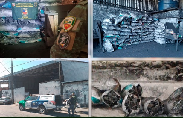 Polícia apreende 250 sacos de carvão vegetal vendidos ilegalmente em Manaus