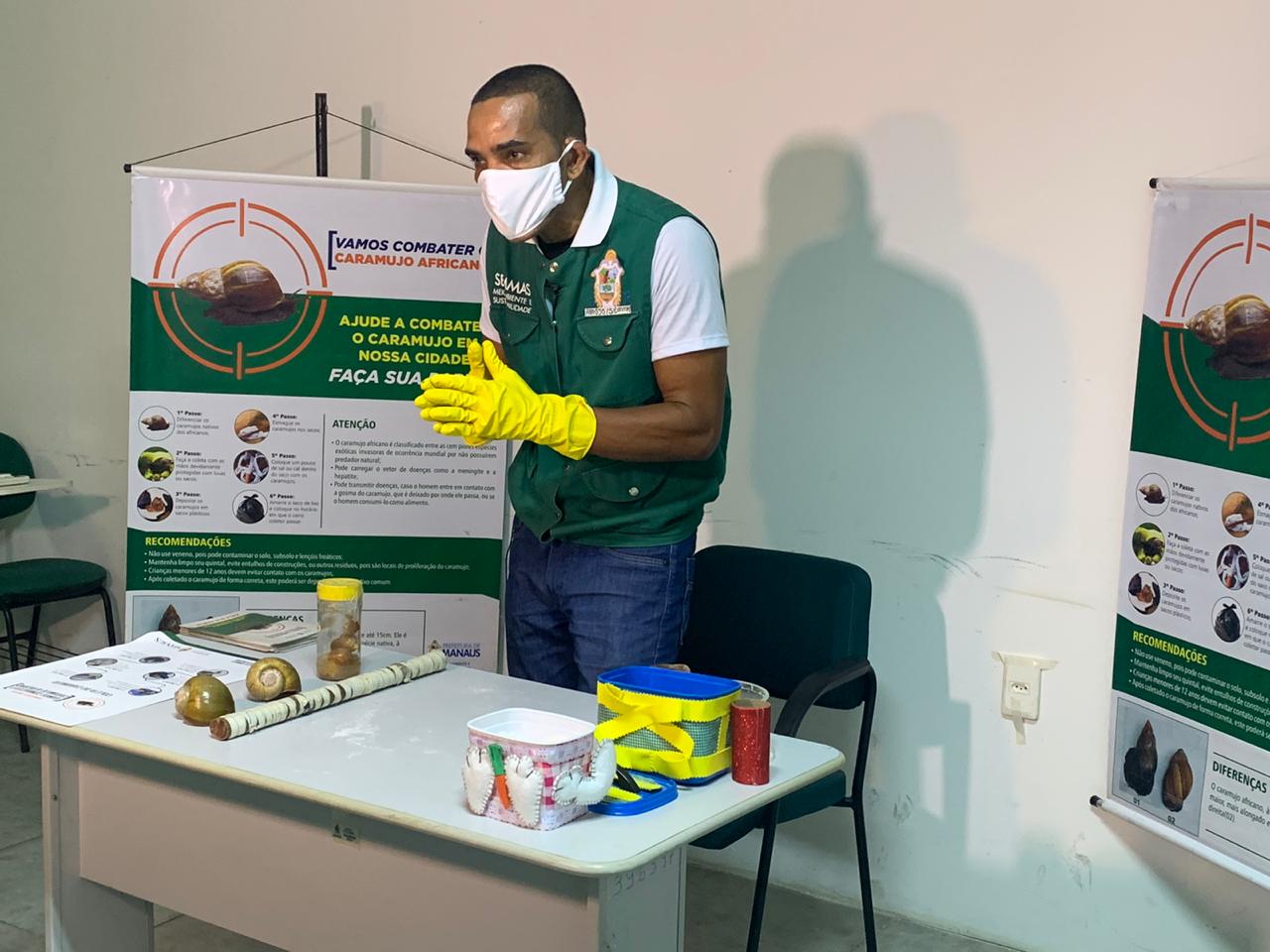 Manaus tem orientação para o combate ao caramujo africano