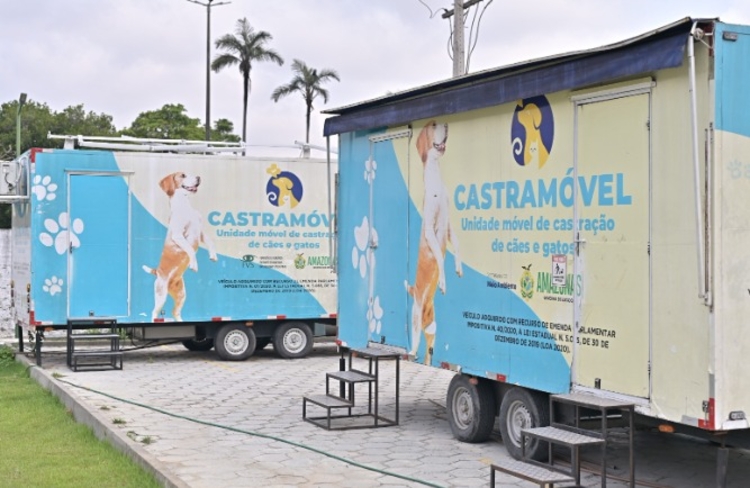 Castramóvel chega a Novo Airão; veja como agendar a castração do seu pet