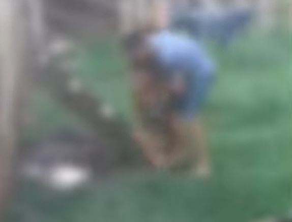 Homem é preso ao ser flagrado agredindo ex na frente do filho no Amazonas