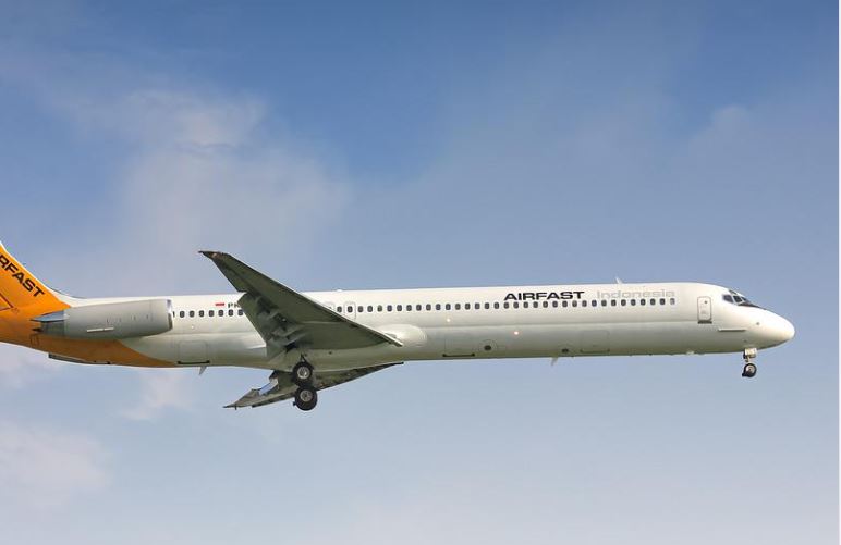 Conheça as regras para voos internacionais com animais domésticos