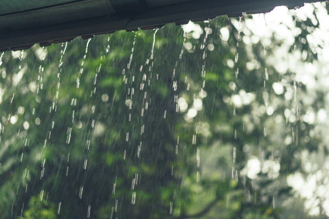 Municípios registram chuva intensa nesta quinta-feira  no Amazonas 