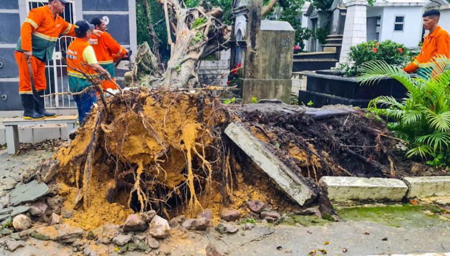 Semulsp faz operação para limpar estragos causados por temporal em Manaus