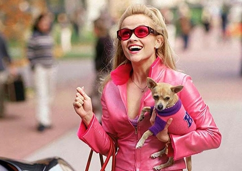 Legalmente Loira 3 é confirmado e já tem previsão de estreia; confira