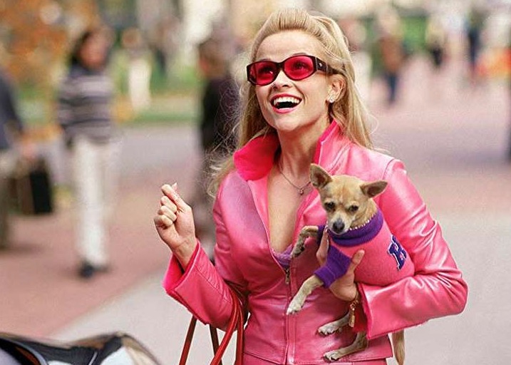 Legalmente Loira 3 é confirmado e já tem previsão de estreia; confira