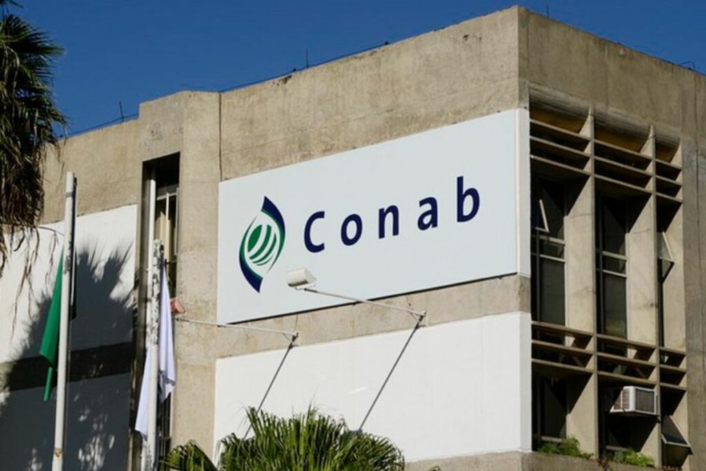 Conab define banca para novo concurso público com 403 vagas