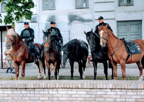 Concurso PM PA tem editais liberados com 2.405 vagas; confira