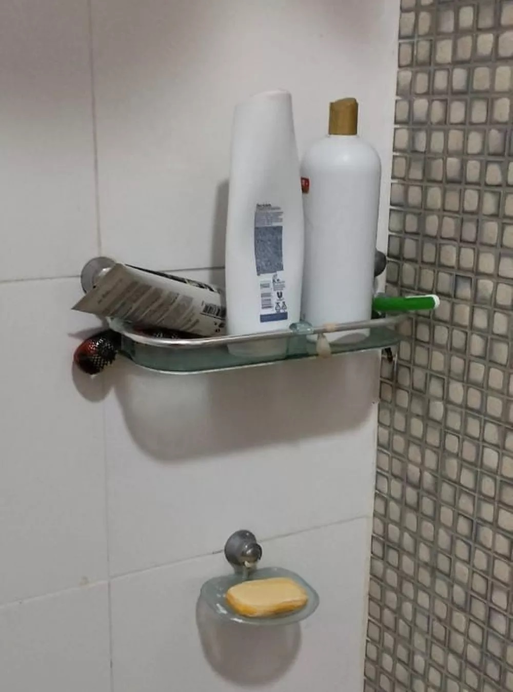 Cobra venenosa assusta moradores escondida atrás de shampoo no banheiro