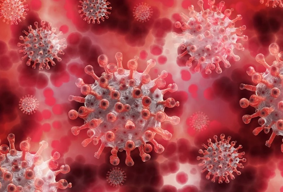 Pacientes de Araraquara são diagnosticados com cepas britânica e amazônica 