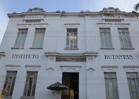 Ministério da Saúde vai distribuir vacina do Butantan a todos os estados