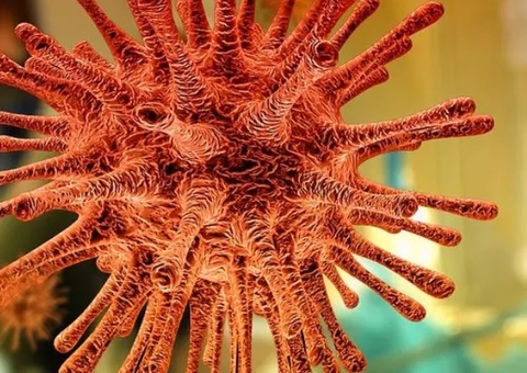 Pesquisa indica eficácia da ivermectina contra covid-19