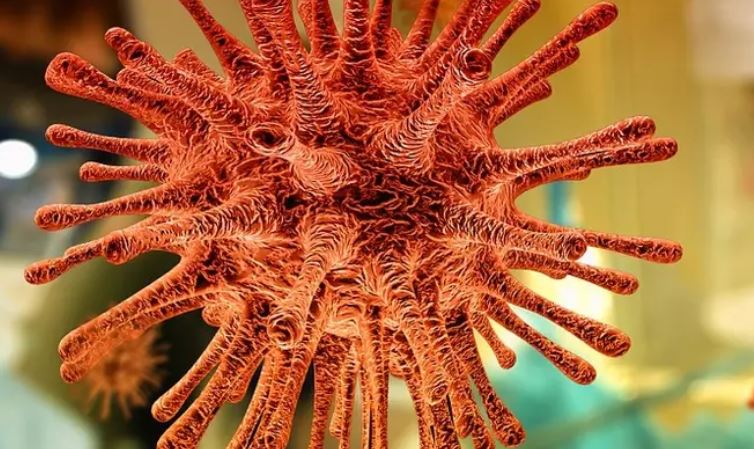 Pesquisa indica eficácia da ivermectina contra covid-19