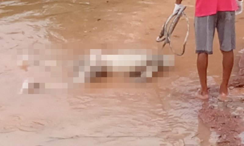 Corpo de homem é encontrado em rio no Amazonas   