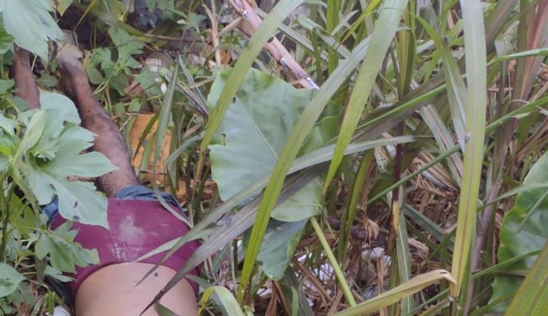 Corpo é encontrado com várias perfurações em matagal de Manaus